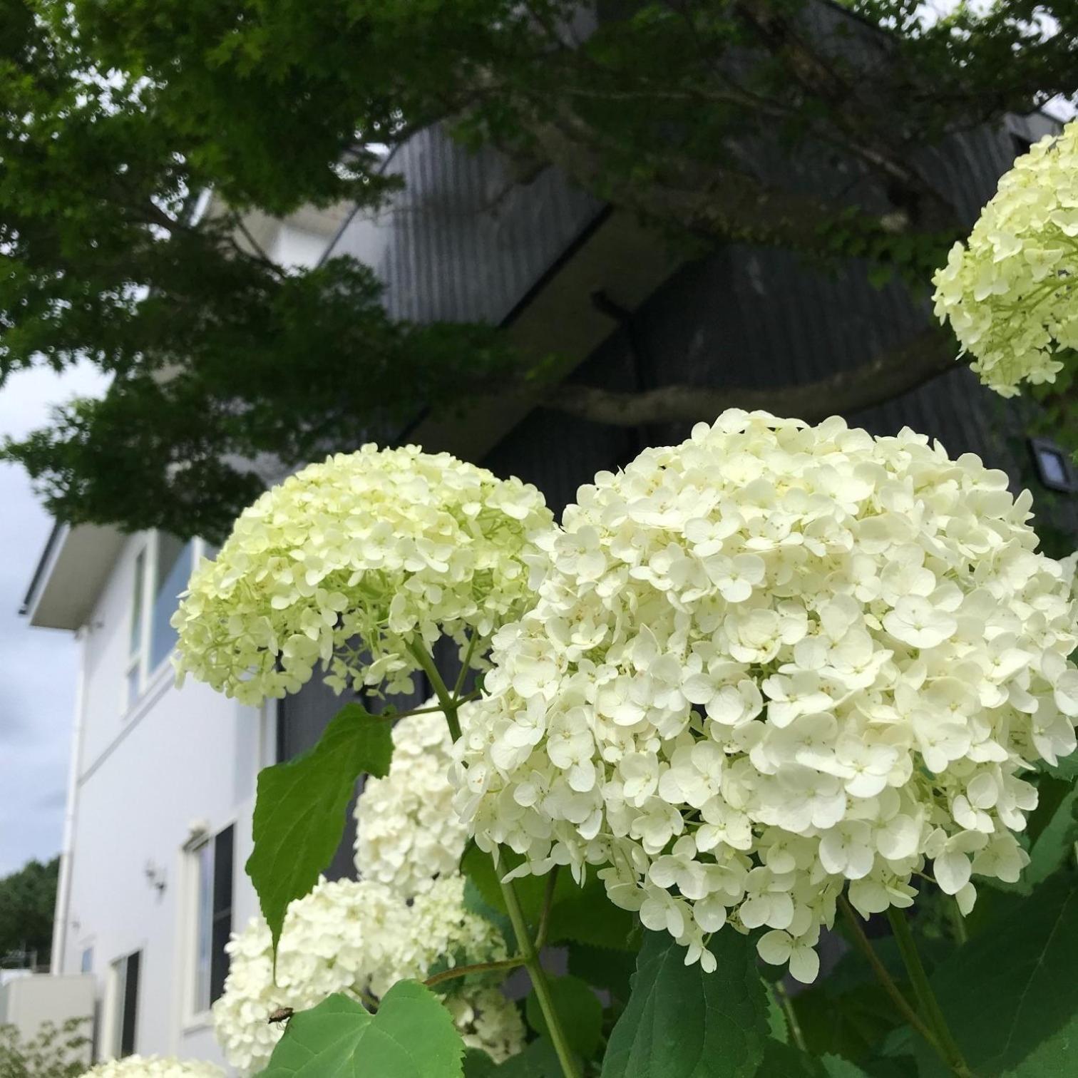 Sweet Villa Takasama - Vacation Stay 11775 Fujiyoshida Eksteriør bilde