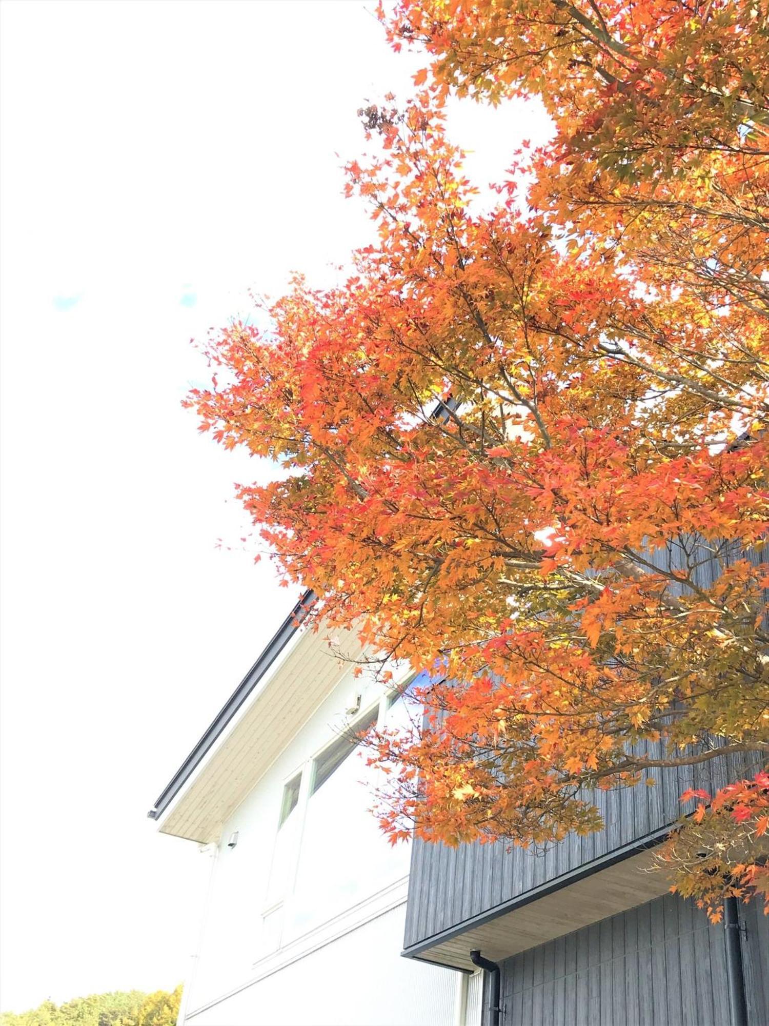 Sweet Villa Takasama - Vacation Stay 11775 Fujiyoshida Eksteriør bilde